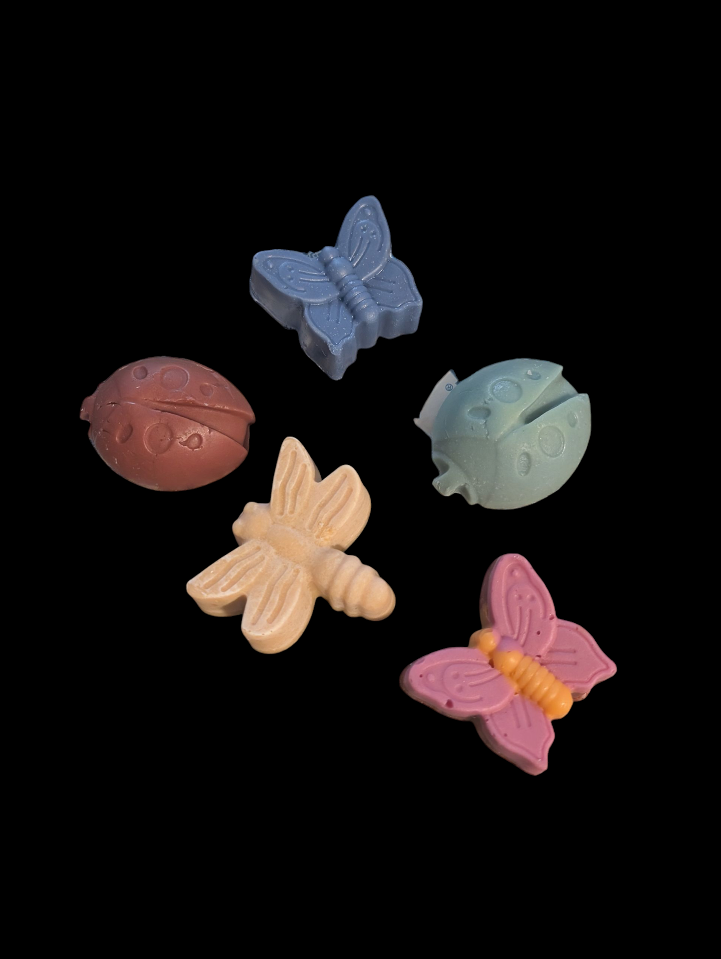 Mystery Stink Bug Soap