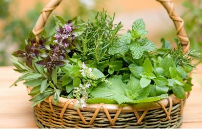 Nature’s Pantry for Your Skin