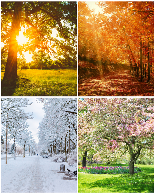 🍂 How Seasonal Weather Changes Affect Your Skin